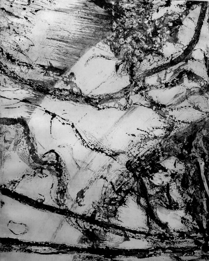 bord de monde-gravure02-aquatinte au sucre sur zinc - 50 x 40 tirée du BFK rives 65 x 50- 2010 © Corinne Leforestier