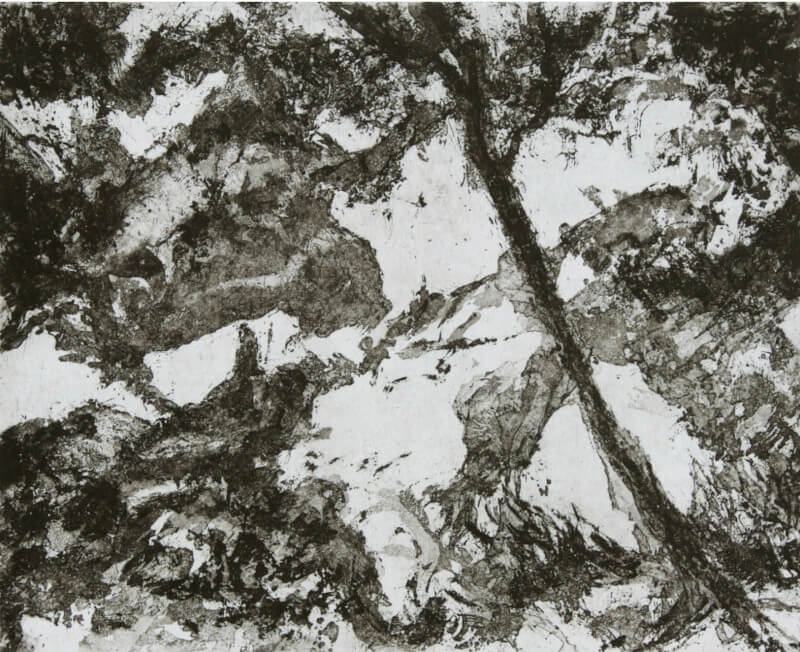 arbres et rochers III - aquatinte au sucre sur zinc - 25 x 20-tirée du BFK rives - 2014 © Corinne Leforestier