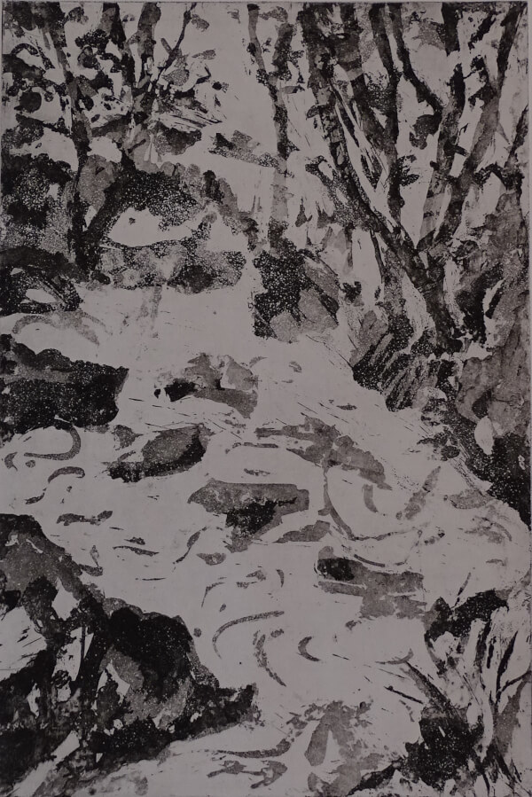2025_gravure_Au frais dans le ravin I _30 x 20_ sur papier laurier 50 x 40_NB