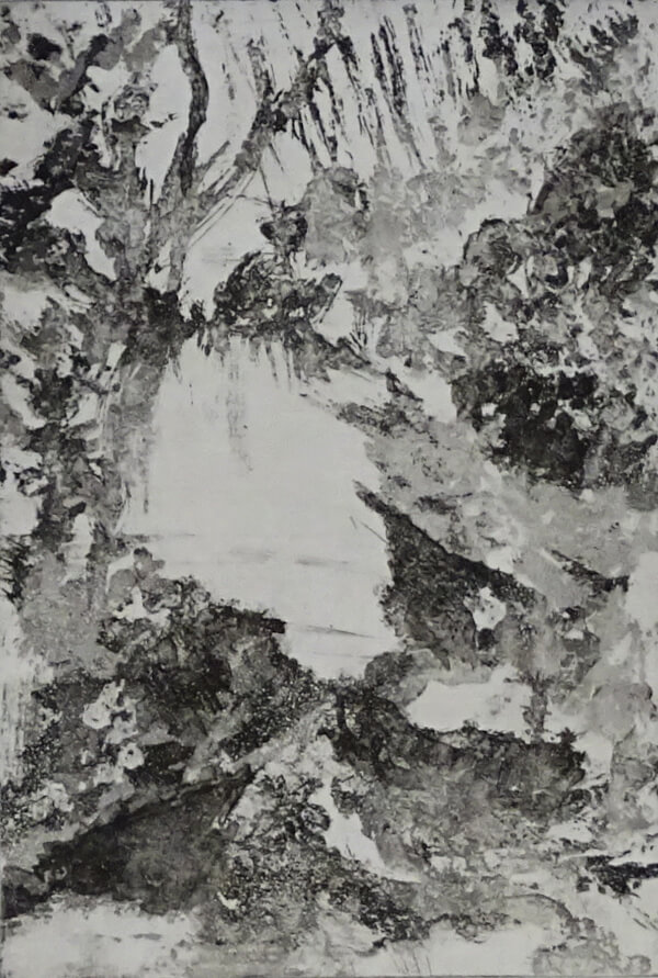 2025_gravure_Au frais dans le ravin IV _30 x 20_ sur papier laurier 50 x 40_NB