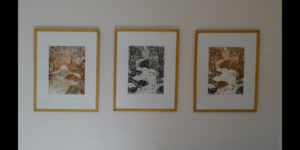 vue ensemble composee_09_exposition-galerie_2025