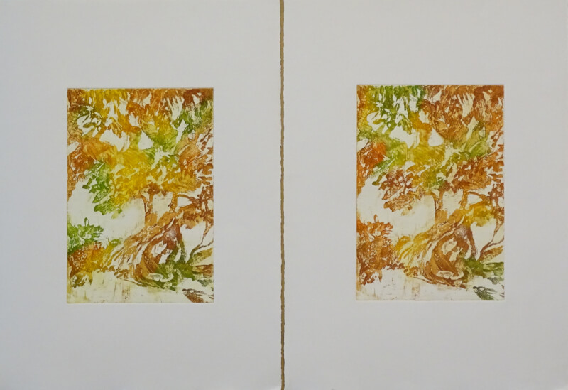 arbre-oiseau_gravure_30 x 20_corinne leforestier