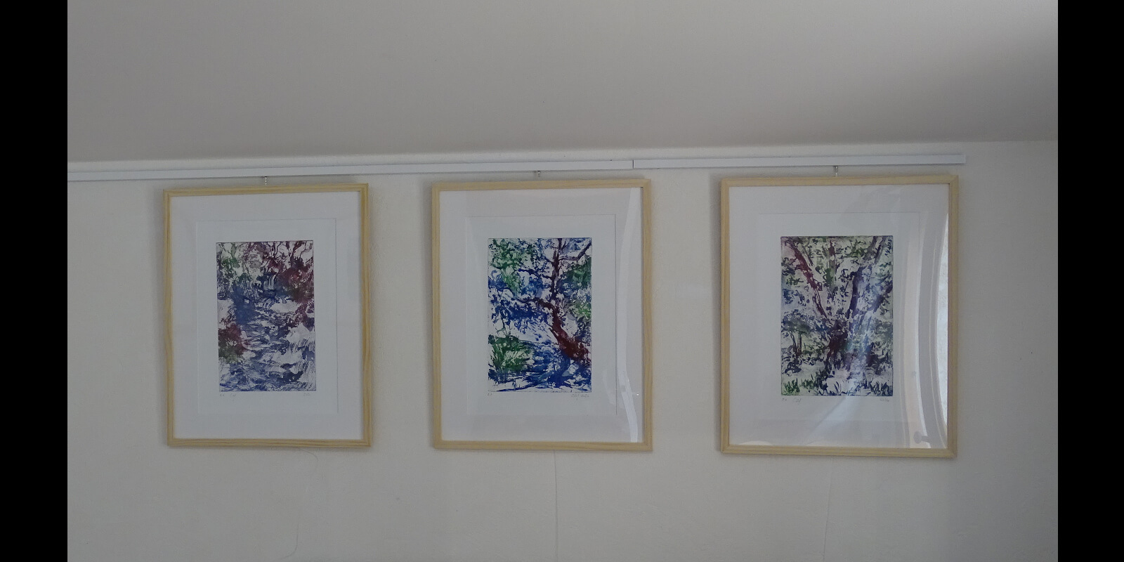 chene et cascadelle_3 gravures_ 30x20_exposition-galerie_2024