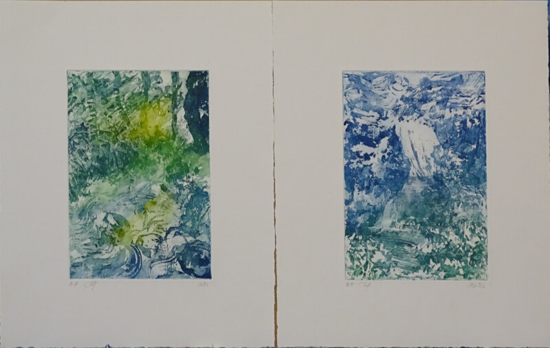 dans le ravin IetII_gravure_30 x 20_corinne leforestier