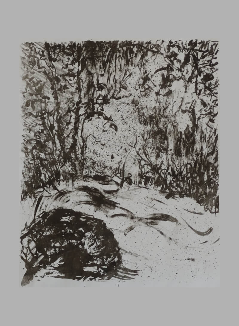 2025_wlitho_sous bois_noir_avec cadre_corinne leforestier