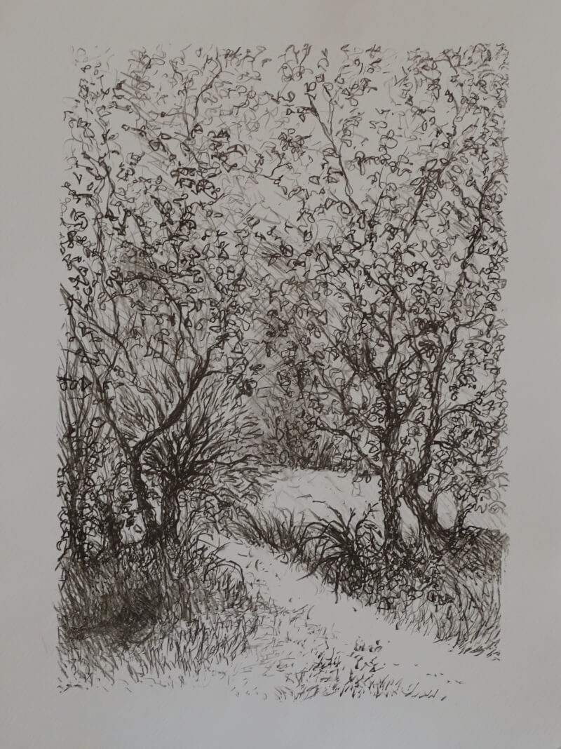 2025_wlitho_sous bois_noir_corinne leforestier