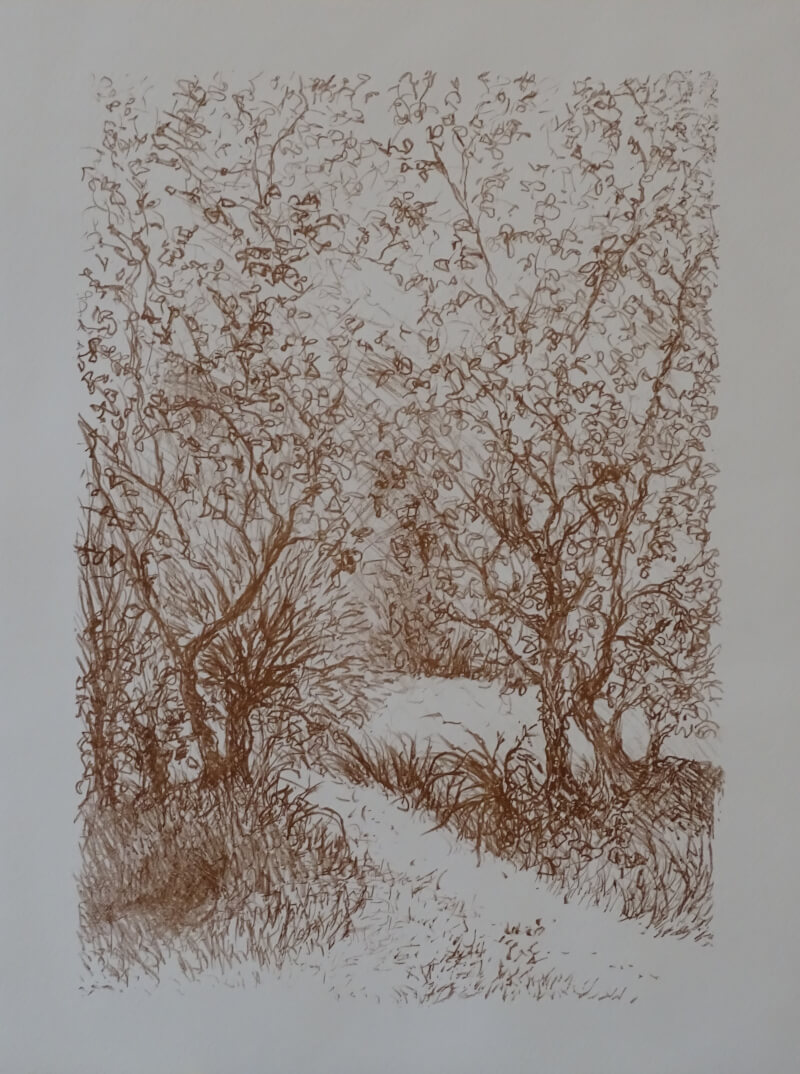 2025_wlitho_sous bois_sepia_corinne leforestier