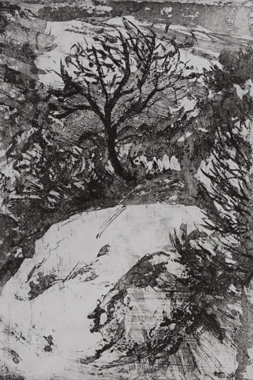 arbre, aquatinte au sucre sur cuivre représentant un arbre au dessus d'un ravin, monotype noir _Corinne Leforestier