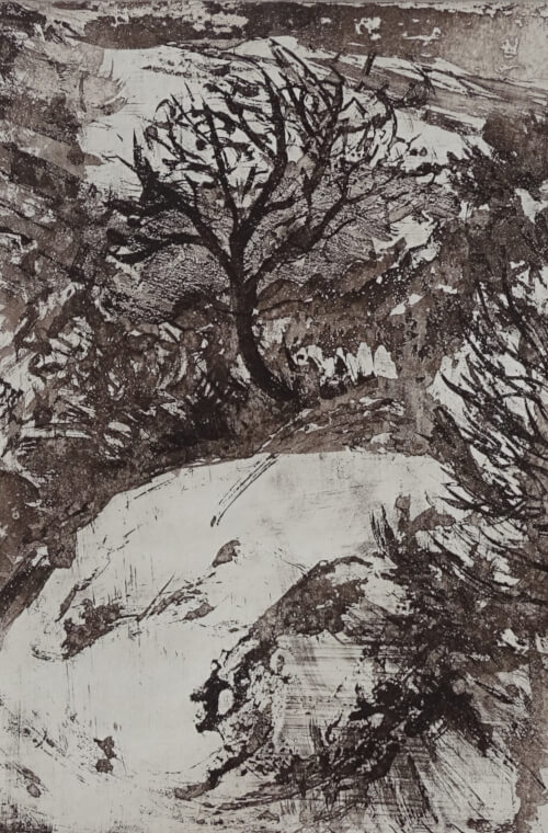 arbre, aquatinte au sucre sur cuivre représentant un arbre au dessus d'un ravin, monotype sépia _Corinne Leforestier